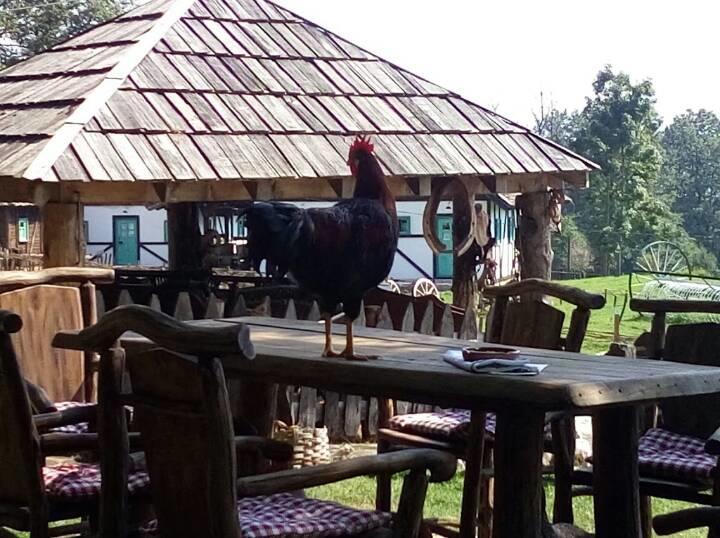 Farm Stay Cardaklije Kulen Vakuf Exterior foto